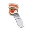 Oral orthodontic photographic glass mirror cheap