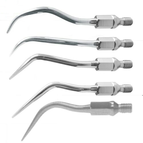 kavo dental scaler tips online