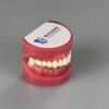 Orthodontic solutions for addressing crowding and spacing in adult teeth