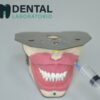 Dental Anesthesia Tooth Extraction Model