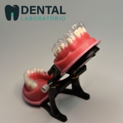 Orthodontics Wax Typodont Training Model