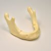 drilling and implant insertion training on mandible