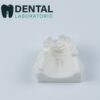 foam material-maxilla missing tooth drilling model