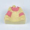 oral surgery practice jaw model