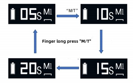 standard model