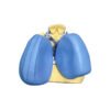 Dental Lab Silicone Impression Material - Brisk Putty for Detailed Oral Structures