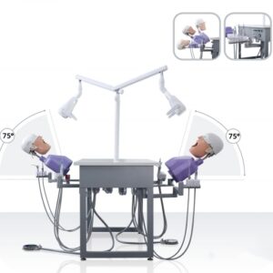 two phantom head dental simulating system